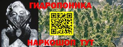 ГАЛЛЮЦИНОГЕННЫЕ ГРИБЫ Абакан