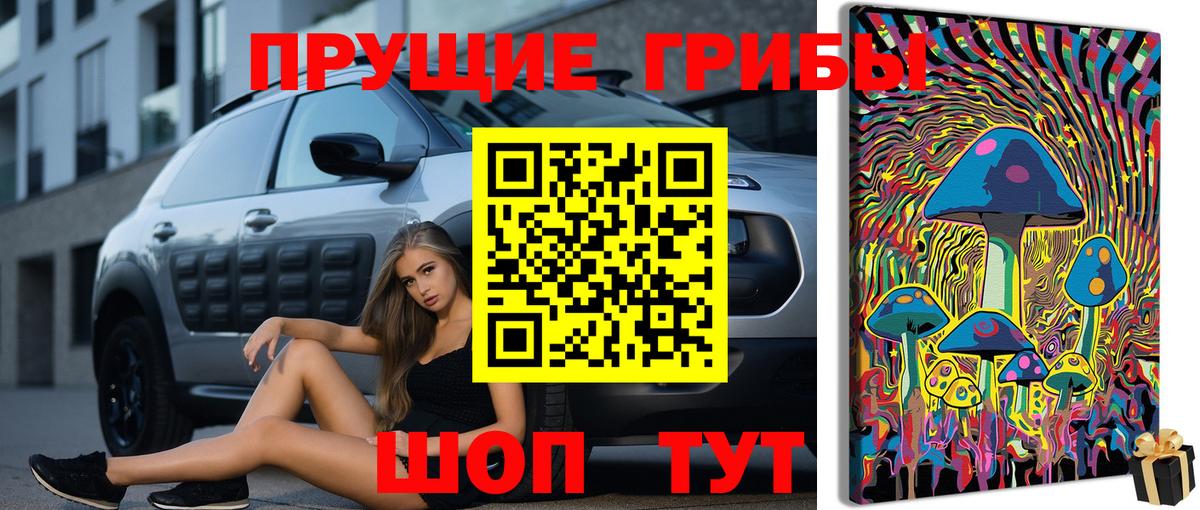 Альметьевск  Галлюциногенные грибы мицелий  Вход с VPN  Галлюциногенные грибы мицелий 