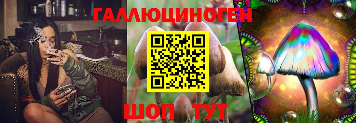 Псилоцибиновые грибы мухоморы Альметьевск